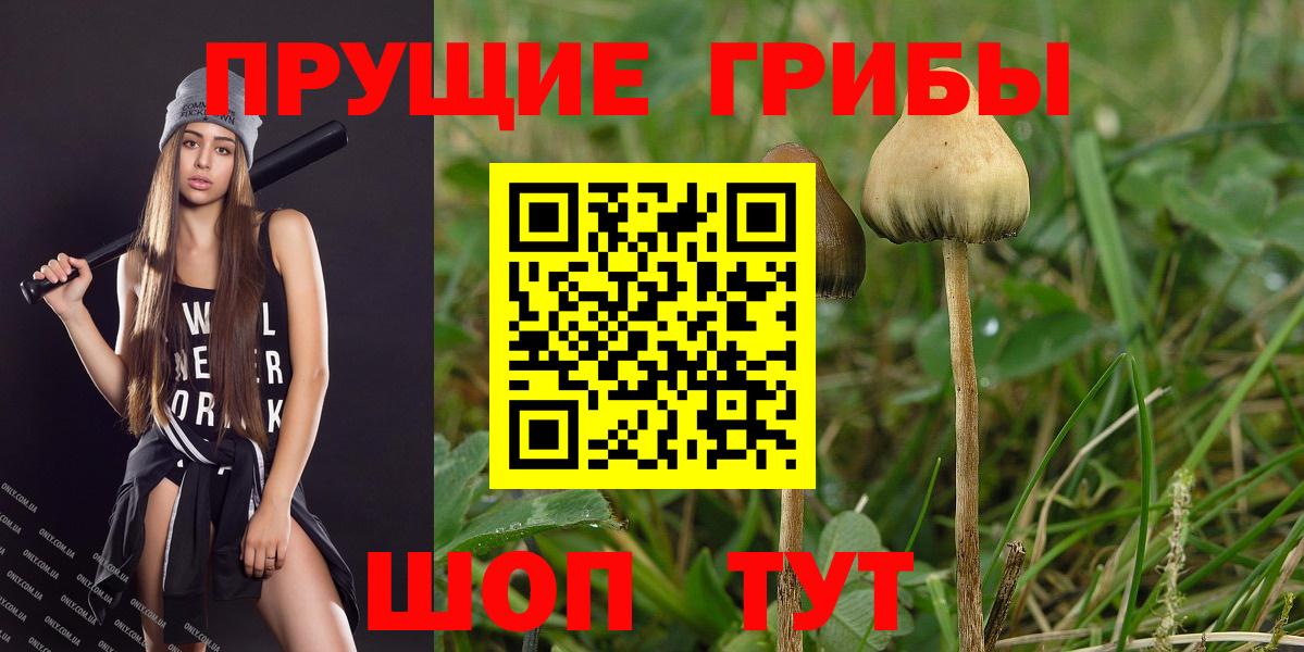 Урай  Псилоцибиновые грибы мухоморы  цены   Вход с VPN  Галлюциногенные грибы прущие грибы 